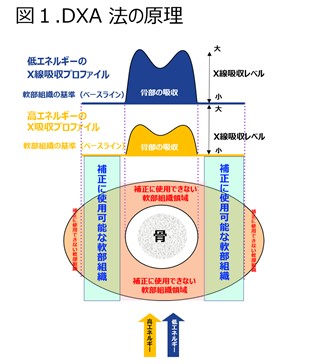 Technical Tips_Soft tissue01.jpg